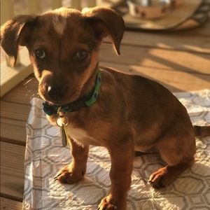 Meet your Posher, Khurram